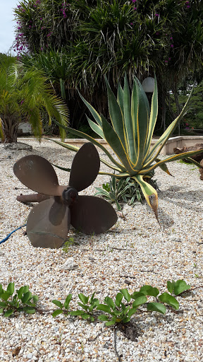 Propeller and Cactus at Le Surf