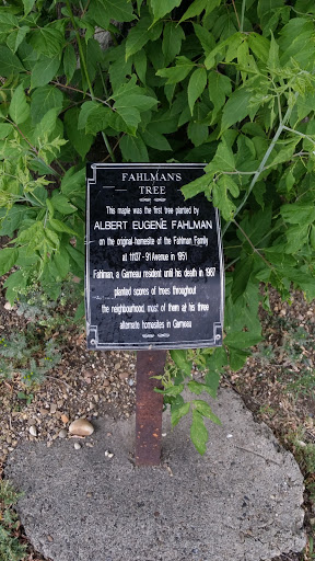 Fahlman's Tree Plaque
