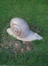 蜗牛石