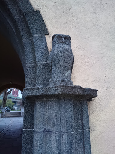University Owl