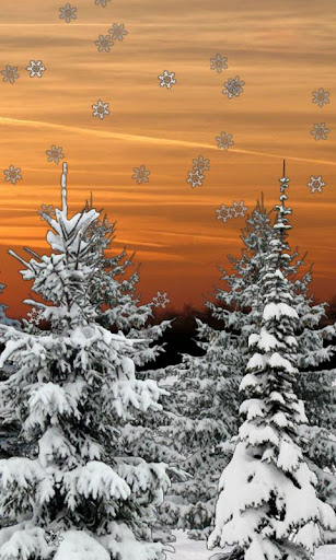 【免費個人化App】Winter Snow Trees 3D Trial LWP-APP點子