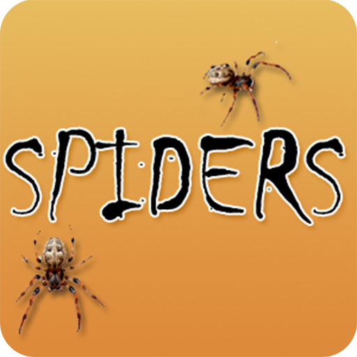 Overcoming Fear of Spiders 生活 App LOGO-APP開箱王