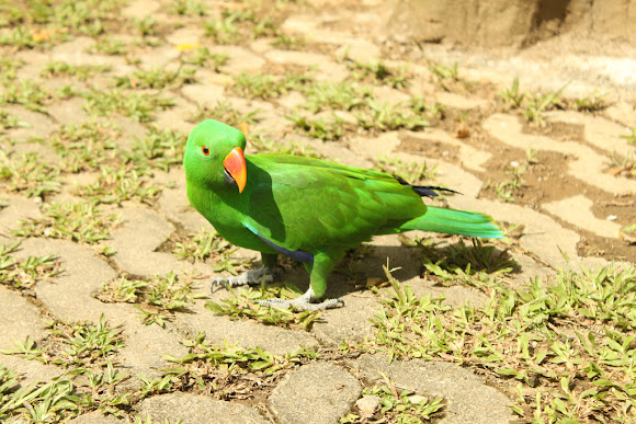 Spotting Image 1