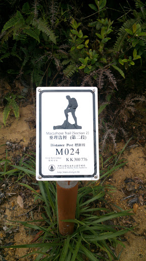 MacLehose Trail M024