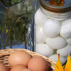 Pickled Eggs
