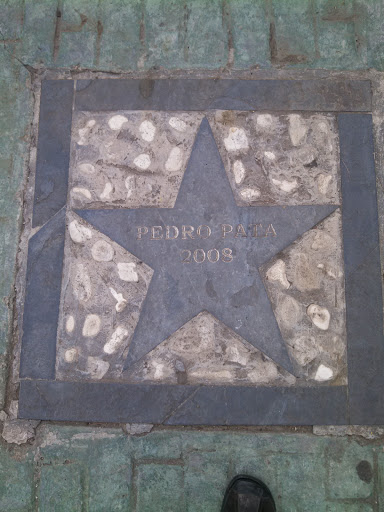 Placa Estrella Pedro Pata