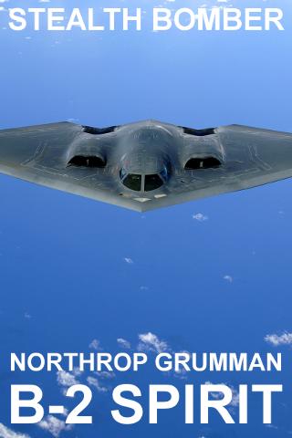 Stealth Bomber B-2 Spirit PRO