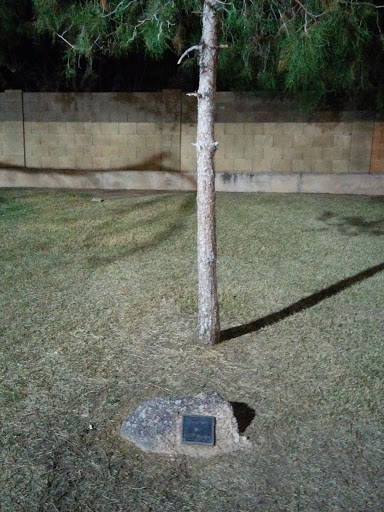 Katy Dugen Memorial Tree
