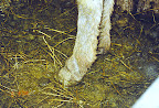 Senza titolo-3.jpg