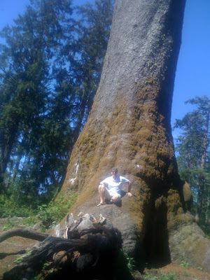 Brian chillin' at the tree