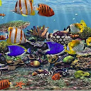 3D Aquarium Live Wallpaper HD mobile app icon