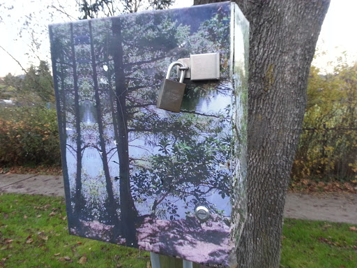 Lake Art Box