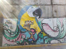 Mural Guacamaya