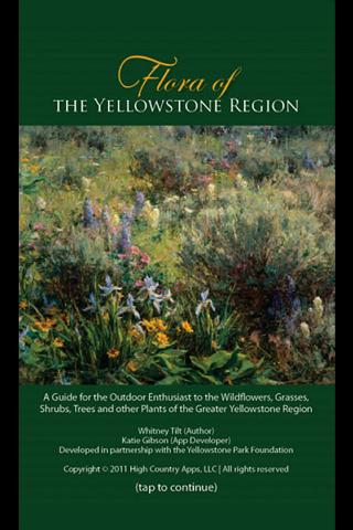 Flora of Yellowstone Region