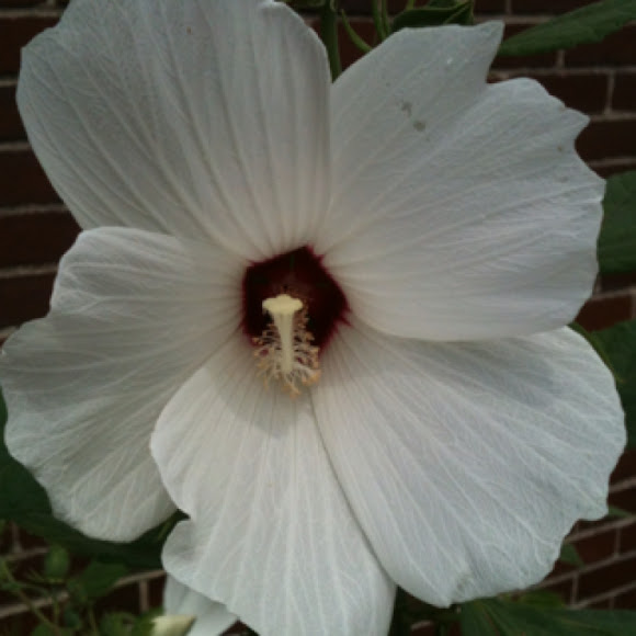 Spotting Image 1