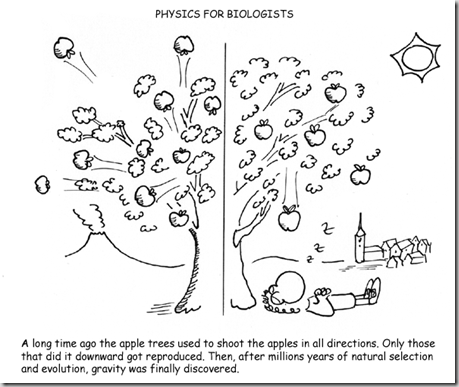 physics_for_biologists