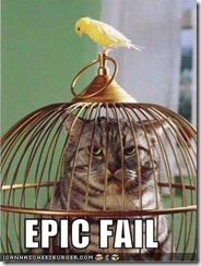 funny-pictures-bird-cat-cage