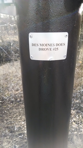 Des Moines Does Drove #25