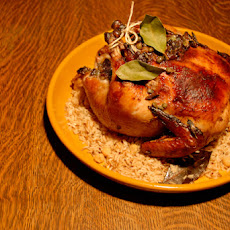 Chicken Marbell-ificent