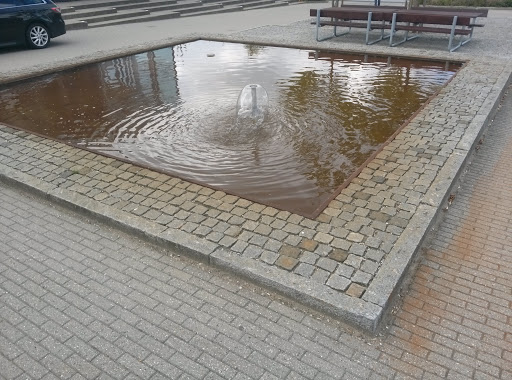 Springvand Ved Roskilde Universitet