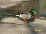 S7000230.JPG
