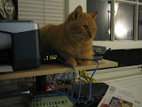 IMG_2155.JPG