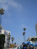 IMG_0754.JPG