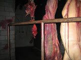 IMG_0809.JPG