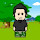 DaveBags