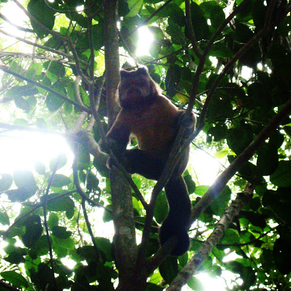 Spotting Image 1
