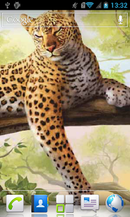 How to download Pretty leopard on a tree lwp 1.0 mod apk for bluestacks