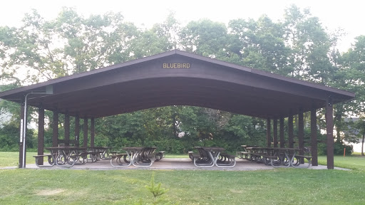 Bluebird Pavilion- John Rudy County Park
