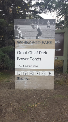 Great Chief Park and Bower Ponds 