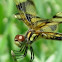 Halloween Pennant (female)