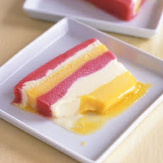 Frozen Mango Raspberry Terrine