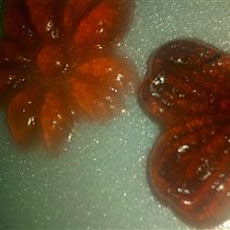 Jell-o® Jigglers®
