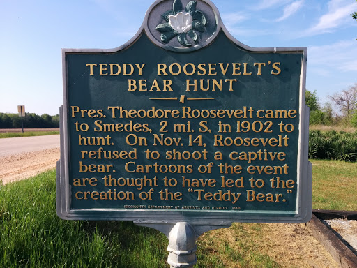 Teddy Roosevelt's Bear Hunt