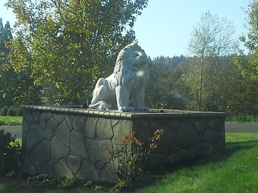 McKinley Lion