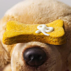 Peanut Butter and Pumpkin Puppy Treats