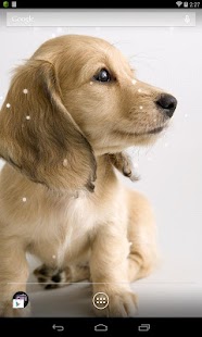 How to mod Dachshund HD Live Wallpaper 1.2 apk for laptop