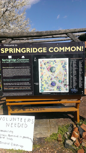 Spring Ridge Common