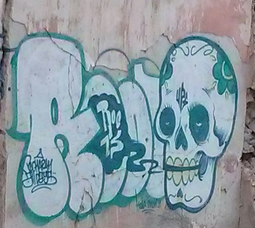 Graffiti Green Skull