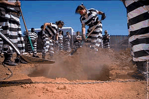 [3[2].gif]