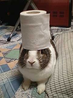 new-use-for-rabbit.jpg