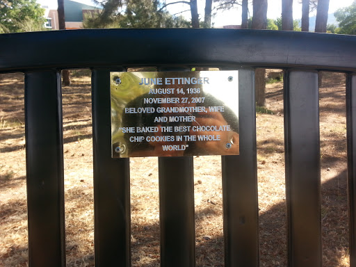 Ettinger Memorial Bench