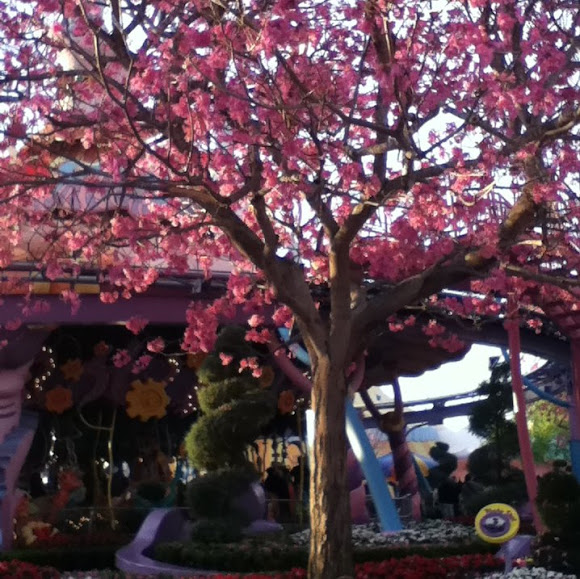 Spotting Image 1