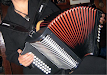 Acordeon Diatonico Hohner Panther 3100