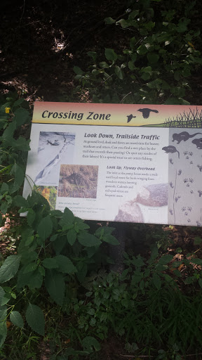 Crossing Zone