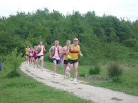 IMGP2933.JPG