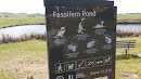 Fassifern Pond